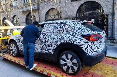 马斯克爆料新车视频大全,未来出行新篇章 第2张 马斯克爆料新车视频大全,未来出行新篇章 第2张